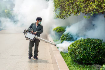 Mosquito Control Woodend