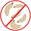Maggot Control Woodend
